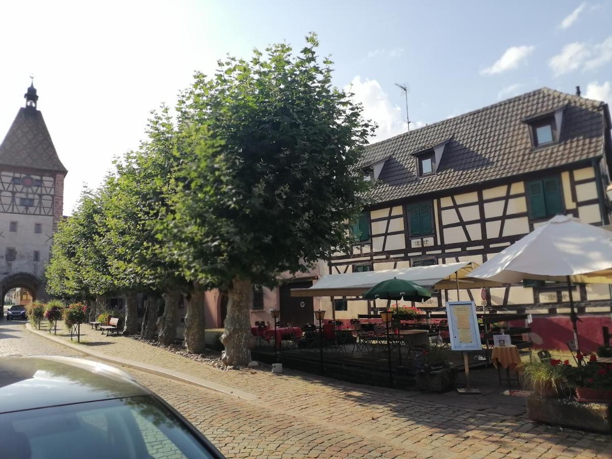 Gites Aux Fines Bulles D'Alsace Spa Privatif En Supplement Bergheim Exterior photo
